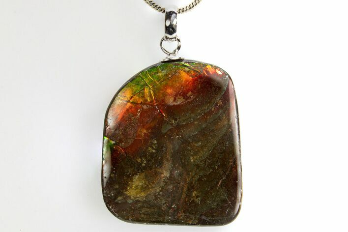 Brilliant Ammolite Pendant (Necklace) - Alberta, Canada #312480